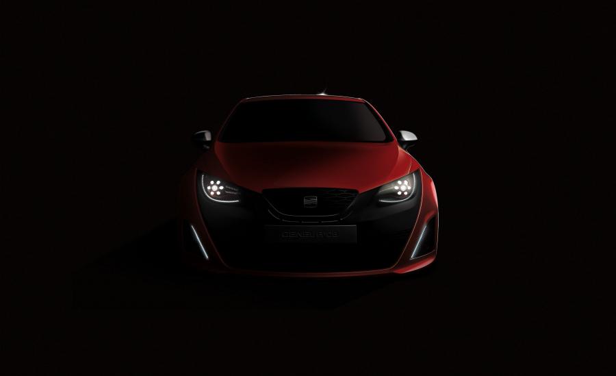  Seat Bocanegra 2008 года  (фото 6 из 15)